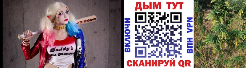 Где найти наркотики Циолковский Канабис  Альфа ПВП  Амфетамин  Меф мяу мяу  ГАШ 
