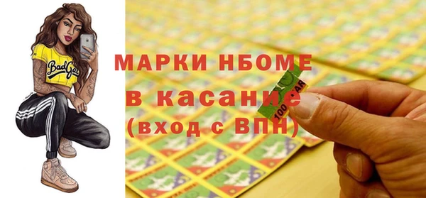 хмурый Абаза