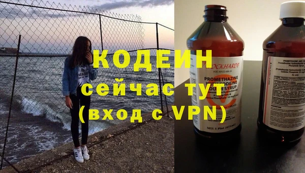 хмурый Абаза
