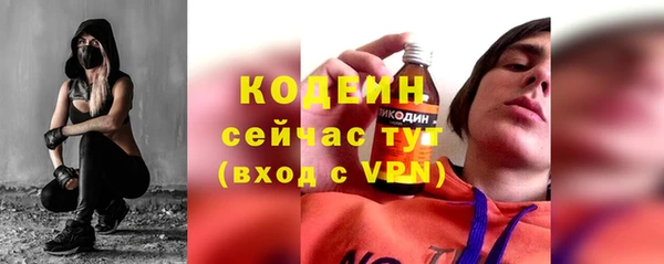 хмурый Абаза