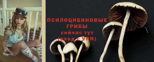 гашик Алзамай
