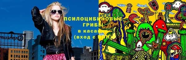 хмурый Абаза