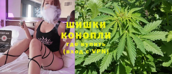 хмурый Абаза