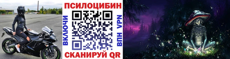 где купить наркоту  Циолковский  Галлюциногенные грибы прущие грибы 