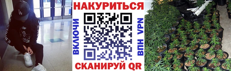 Бошки Шишки SATIVA & INDICA  Циолковский 